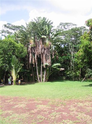 Chamarel 3.jpg